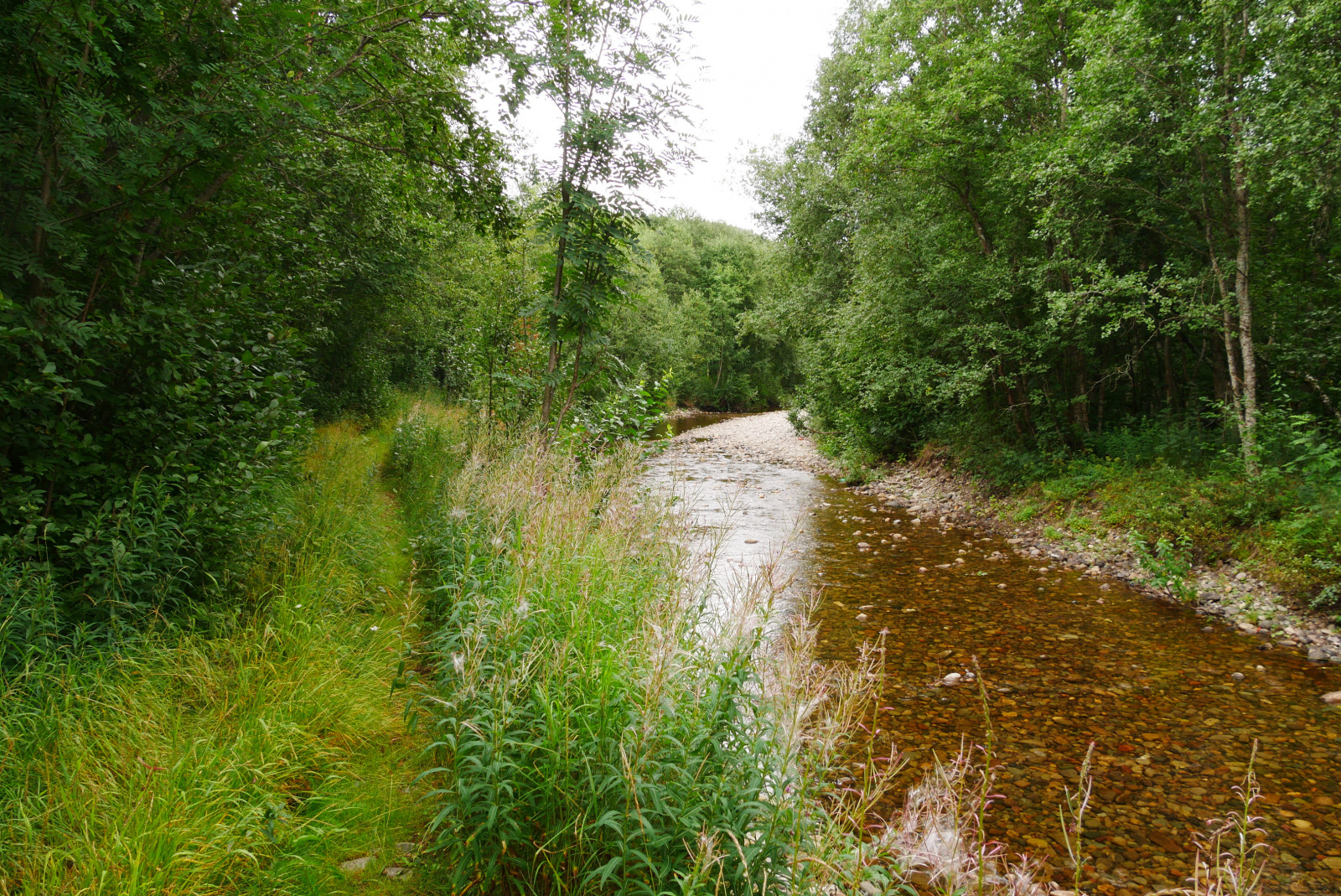 Klicke auf die Grafik für eine vergrößerte Ansicht  Name: P1070285.jpg Ansichten: 0 Größe: 1,40 MB ID: 3363109