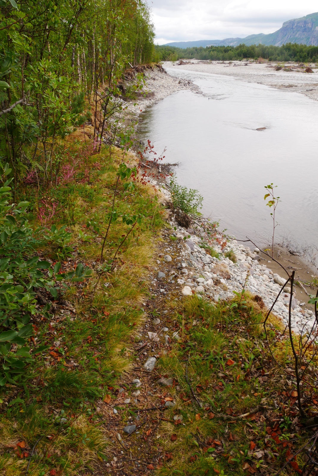 Klicke auf die Grafik für eine vergrößerte Ansicht  Name: P1070287.jpg Ansichten: 0 Größe: 1,22 MB ID: 3363110