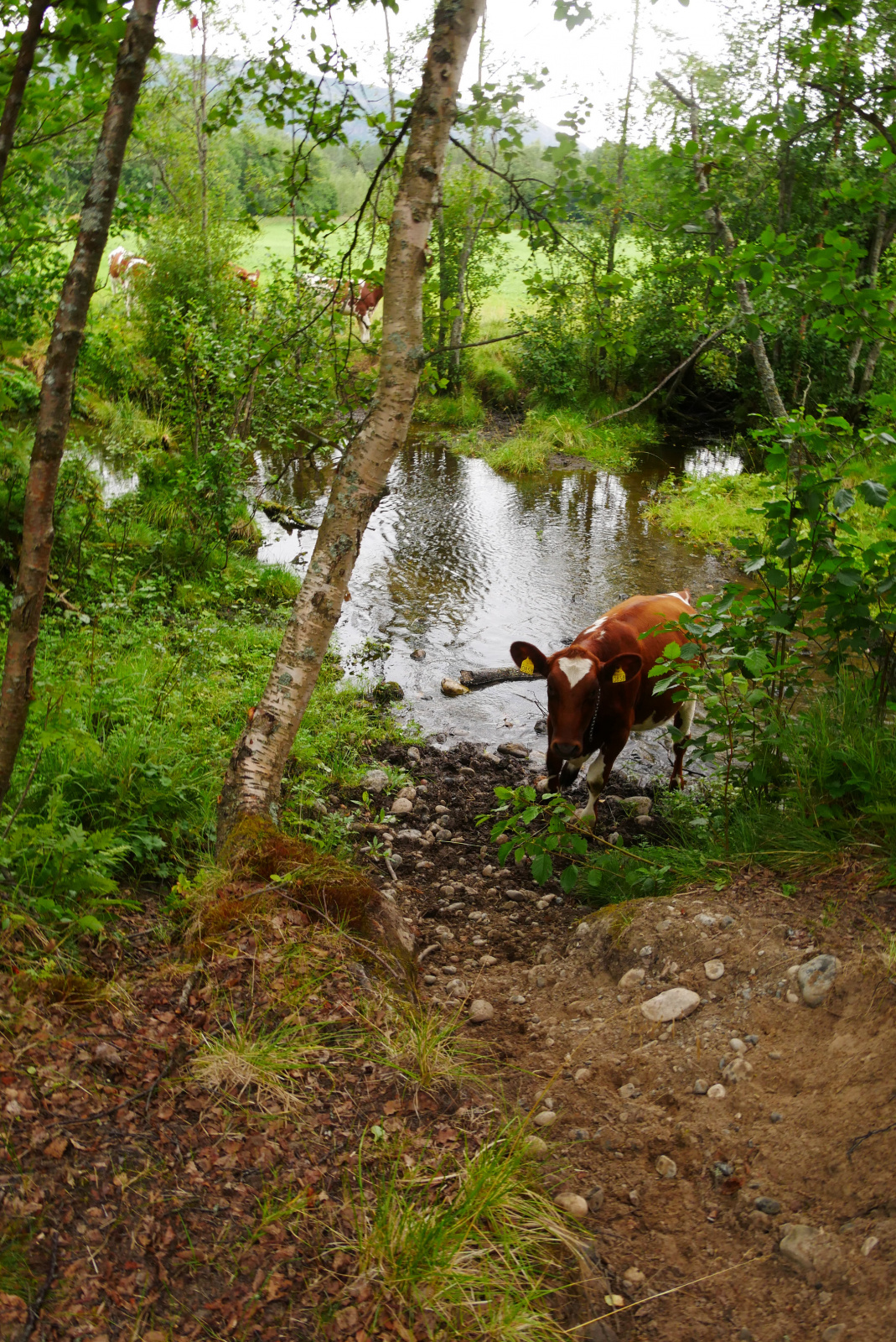 Klicke auf die Grafik für eine vergrößerte Ansicht  Name: P1070288.jpg Ansichten: 0 Größe: 1,23 MB ID: 3363111