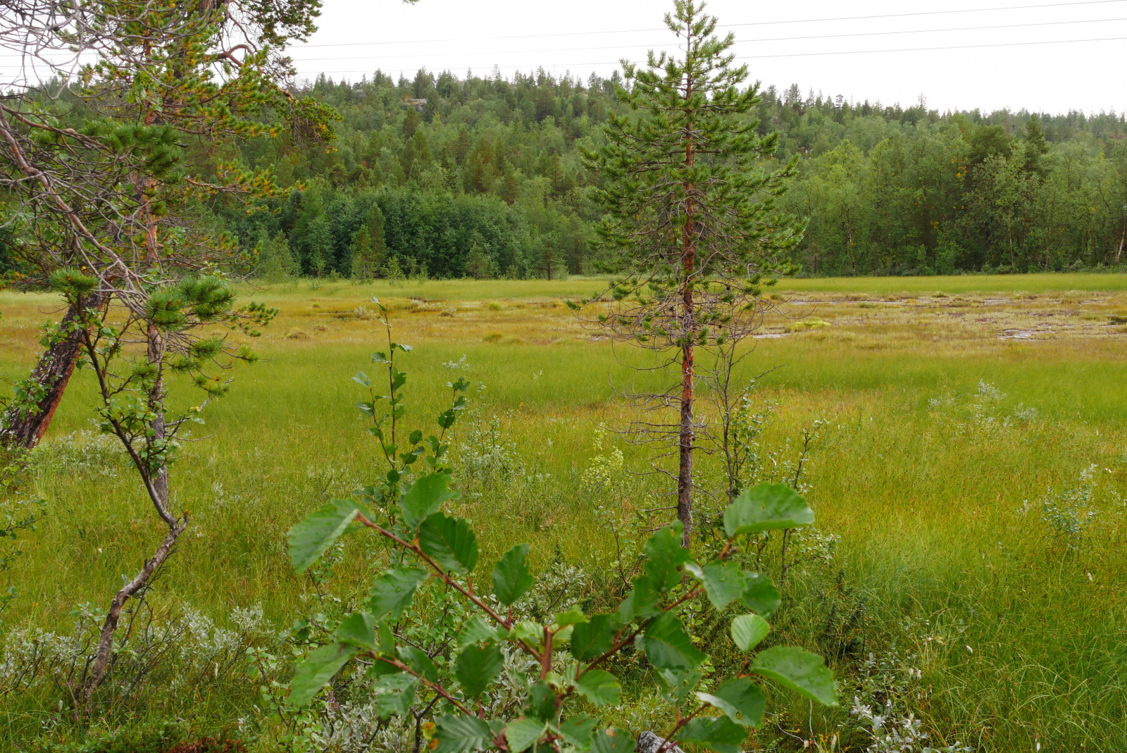 Klicke auf die Grafik für eine vergrößerte Ansicht  Name: P1070294.jpg Ansichten: 0 Größe: 1,17 MB ID: 3363113