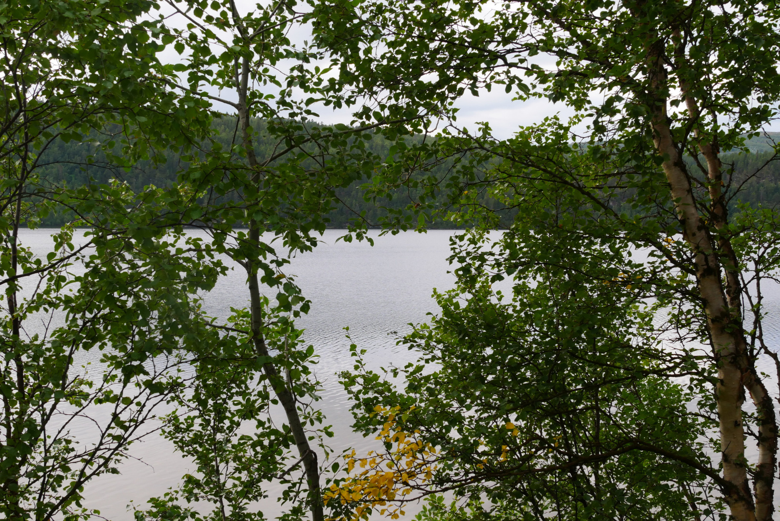 Klicke auf die Grafik für eine vergrößerte Ansicht  Name: P1070295.jpg Ansichten: 0 Größe: 1,23 MB ID: 3363114