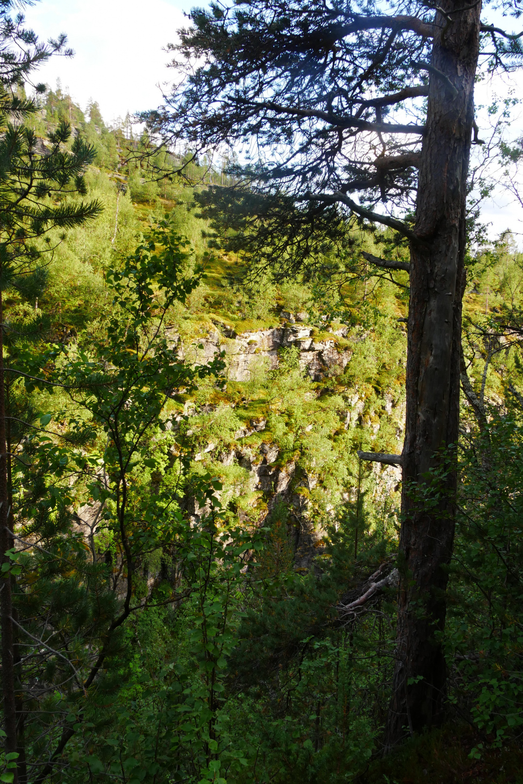 Klicke auf die Grafik für eine vergrößerte Ansicht  Name: P1070298.jpg Ansichten: 0 Größe: 1,32 MB ID: 3363115