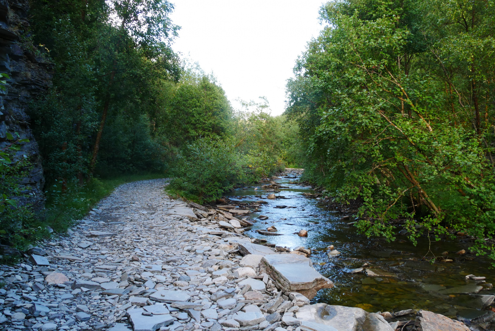 Klicke auf die Grafik für eine vergrößerte Ansicht  Name: P1070299.jpg Ansichten: 0 Größe: 1,11 MB ID: 3363116