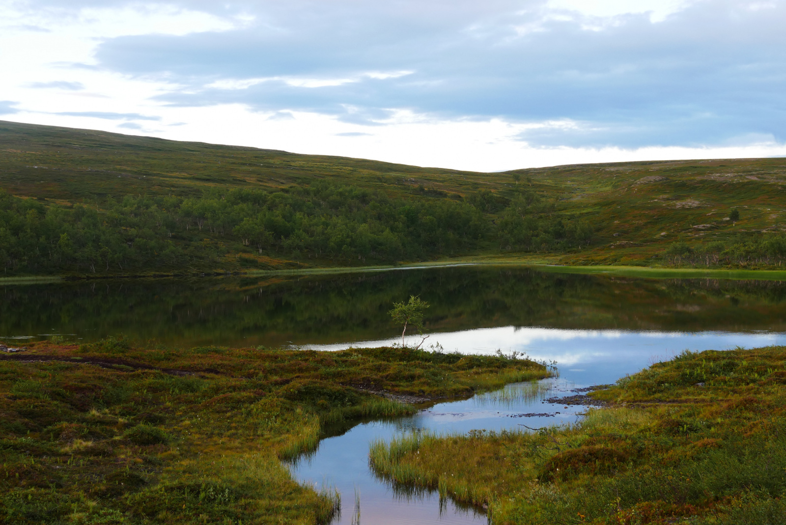 Klicke auf die Grafik für eine vergrößerte Ansicht  Name: P1070305.jpg Ansichten: 0 Größe: 706,2 KB ID: 3363121