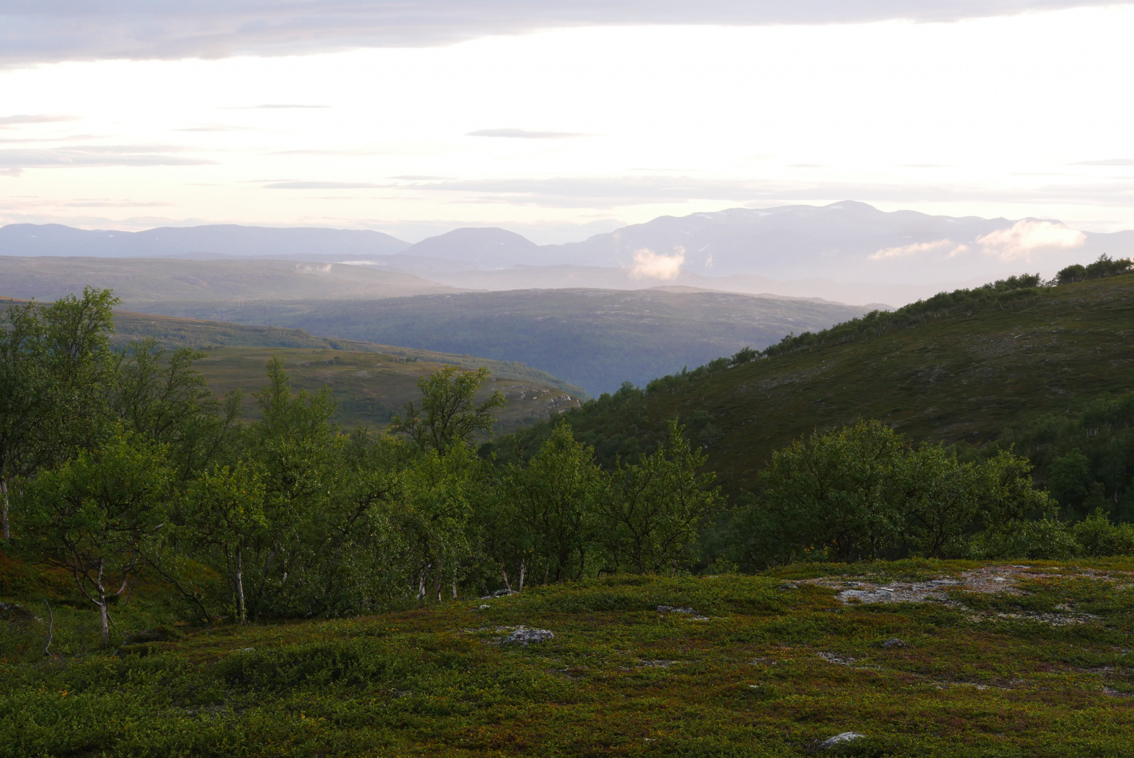 Klicke auf die Grafik für eine vergrößerte Ansicht  Name: P1070303.jpg Ansichten: 0 Größe: 698,3 KB ID: 3363120