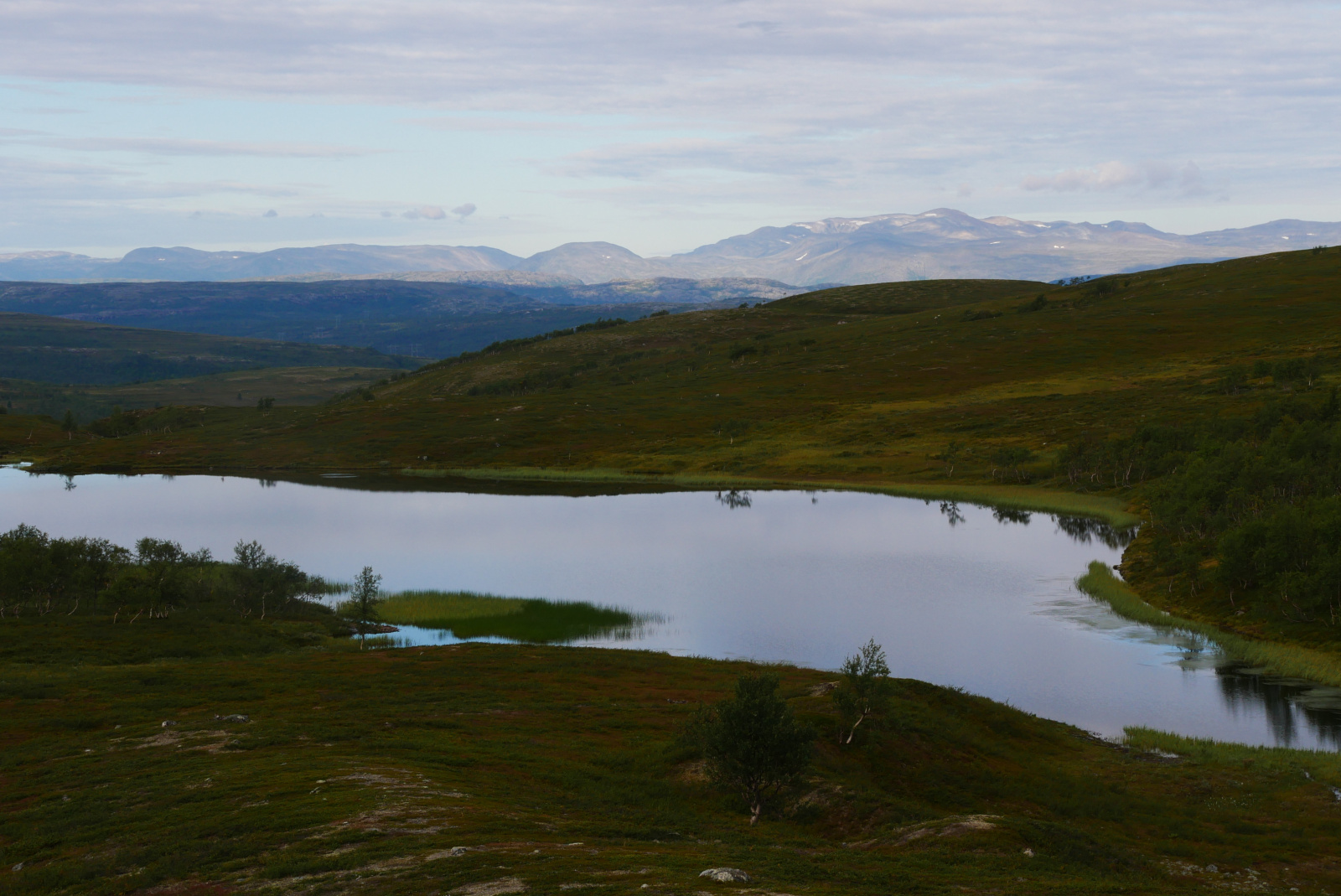 Klicke auf die Grafik für eine vergrößerte Ansicht

Name: P1070306.jpg
Ansichten: 105
Größe: 552,9 KB
ID: 3363131