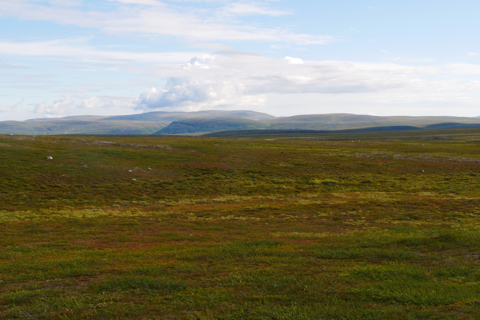 Klicke auf die Grafik für eine vergrößerte Ansicht

Name: P1070307.jpg
Ansichten: 99
Größe: 813,7 KB
ID: 3363132