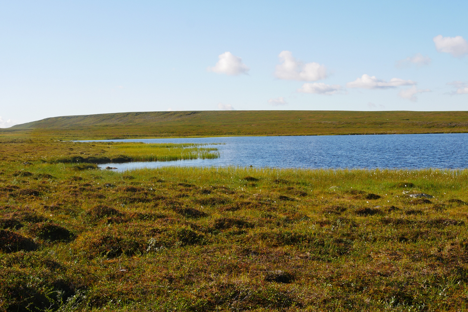 Klicke auf die Grafik für eine vergrößerte Ansicht

Name: P1070308.jpg
Ansichten: 99
Größe: 1,05 MB
ID: 3363133