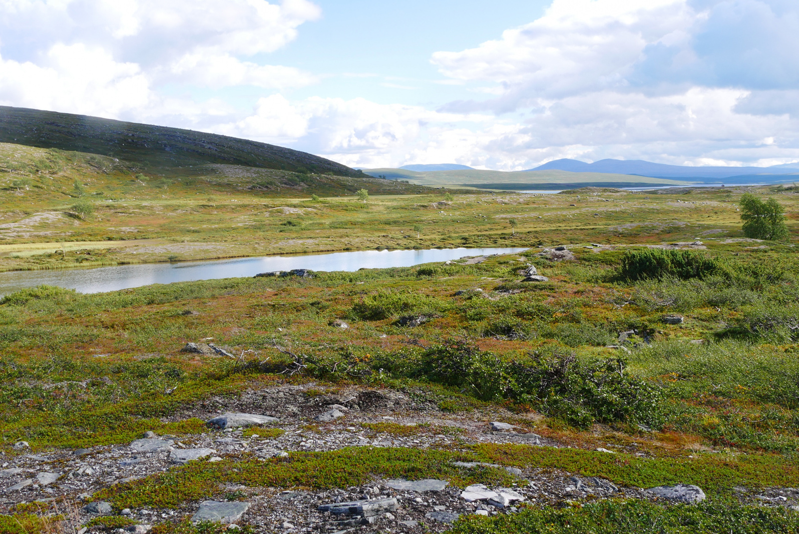 Klicke auf die Grafik für eine vergrößerte Ansicht

Name: P1070313.jpg
Ansichten: 101
Größe: 1,15 MB
ID: 3363137