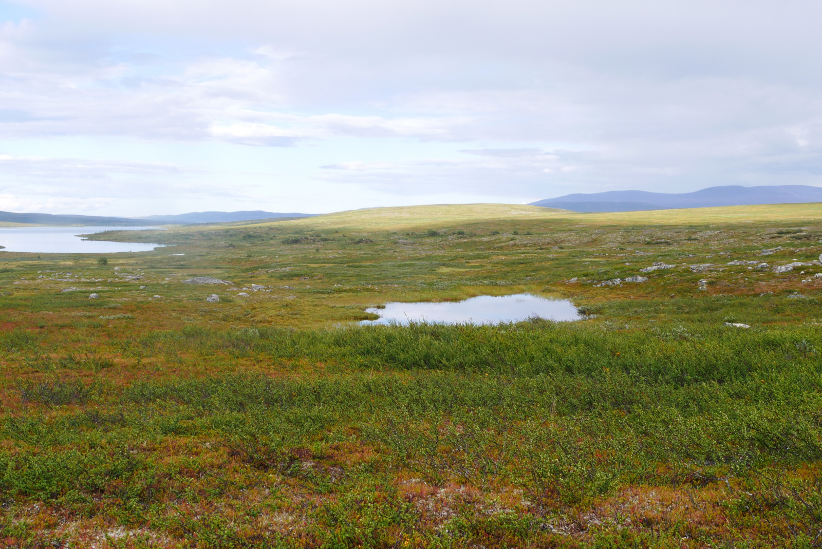 Klicke auf die Grafik für eine vergrößerte Ansicht

Name: P1070321.jpg
Ansichten: 100
Größe: 919,1 KB
ID: 3363142