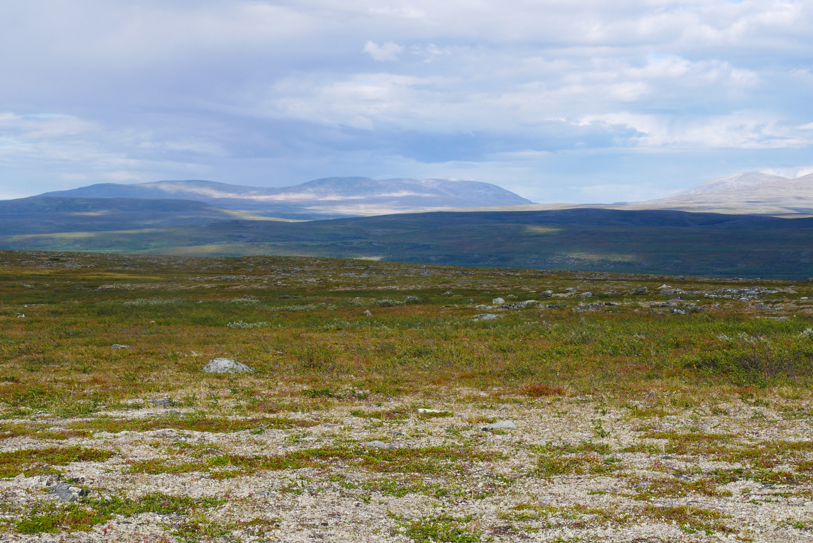 Klicke auf die Grafik für eine vergrößerte Ansicht

Name: P1070323.jpg
Ansichten: 100
Größe: 976,9 KB
ID: 3363144