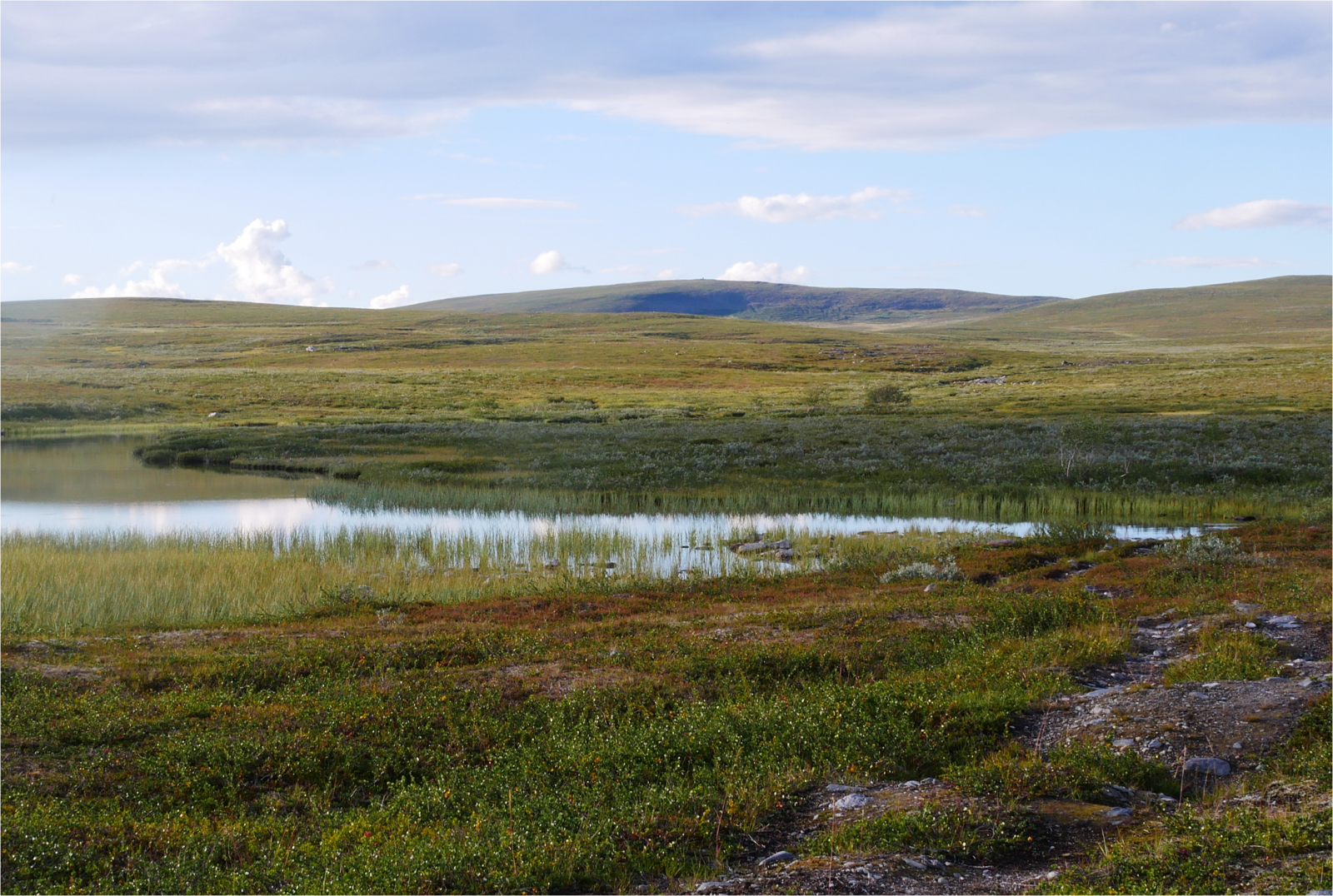 Klicke auf die Grafik für eine vergrößerte Ansicht

Name: p1070325-adjust-horizon-cut_1qo9t5mr_1.png
Ansichten: 101
Größe: 2,93 MB
ID: 3363145