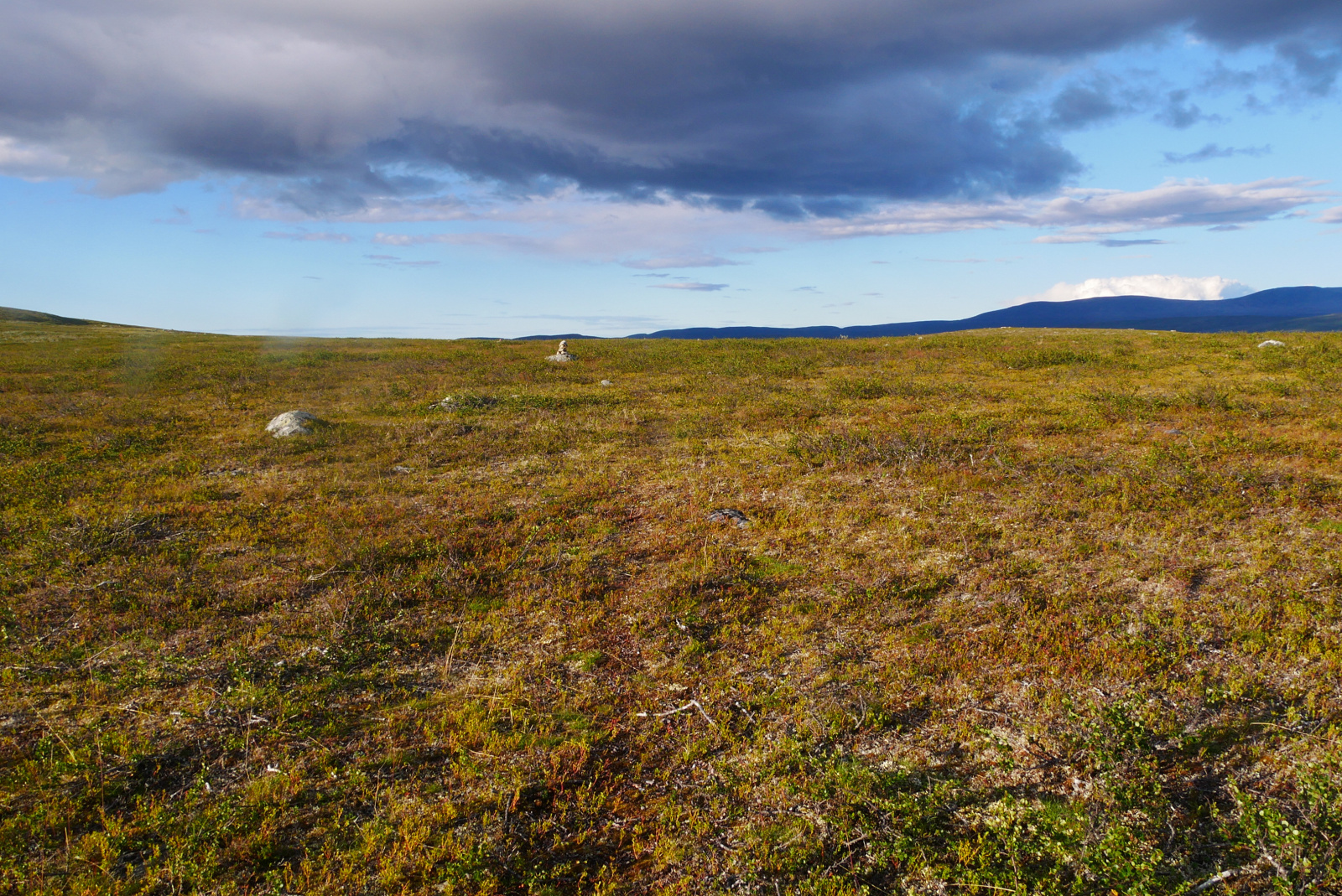 Klicke auf die Grafik für eine vergrößerte Ansicht

Name: P1070326.jpg
Ansichten: 99
Größe: 1,19 MB
ID: 3363146