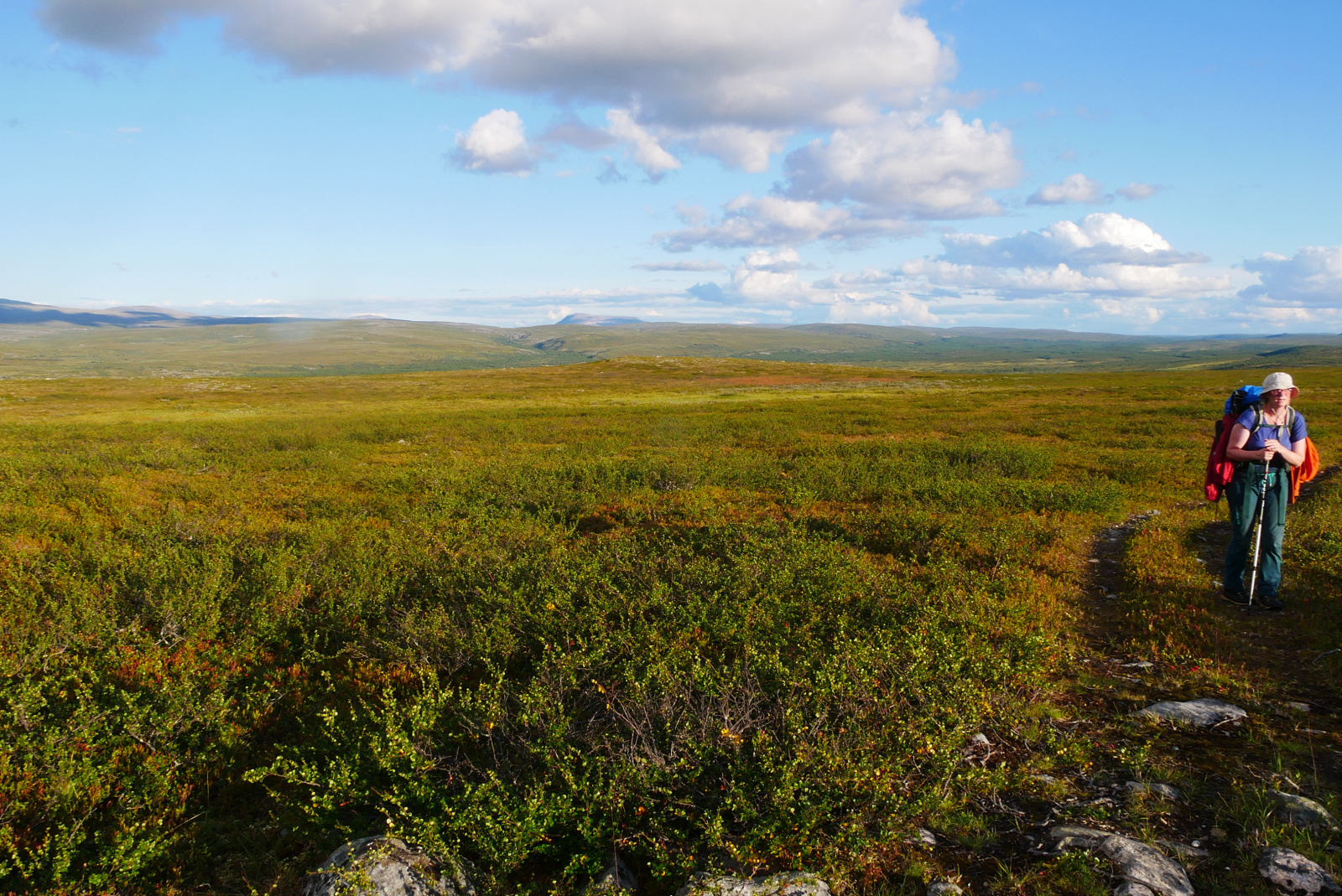 Klicke auf die Grafik für eine vergrößerte Ansicht

Name: P1070327.jpg
Ansichten: 100
Größe: 1,08 MB
ID: 3363147