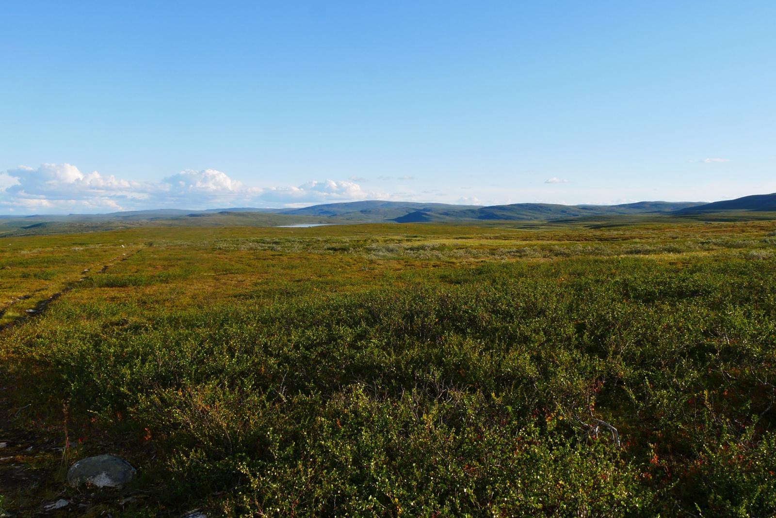 Klicke auf die Grafik für eine vergrößerte Ansicht

Name: p1070328-adjust-horizon_1wvq1kj1_1.jpg
Ansichten: 97
Größe: 884,6 KB
ID: 3363148