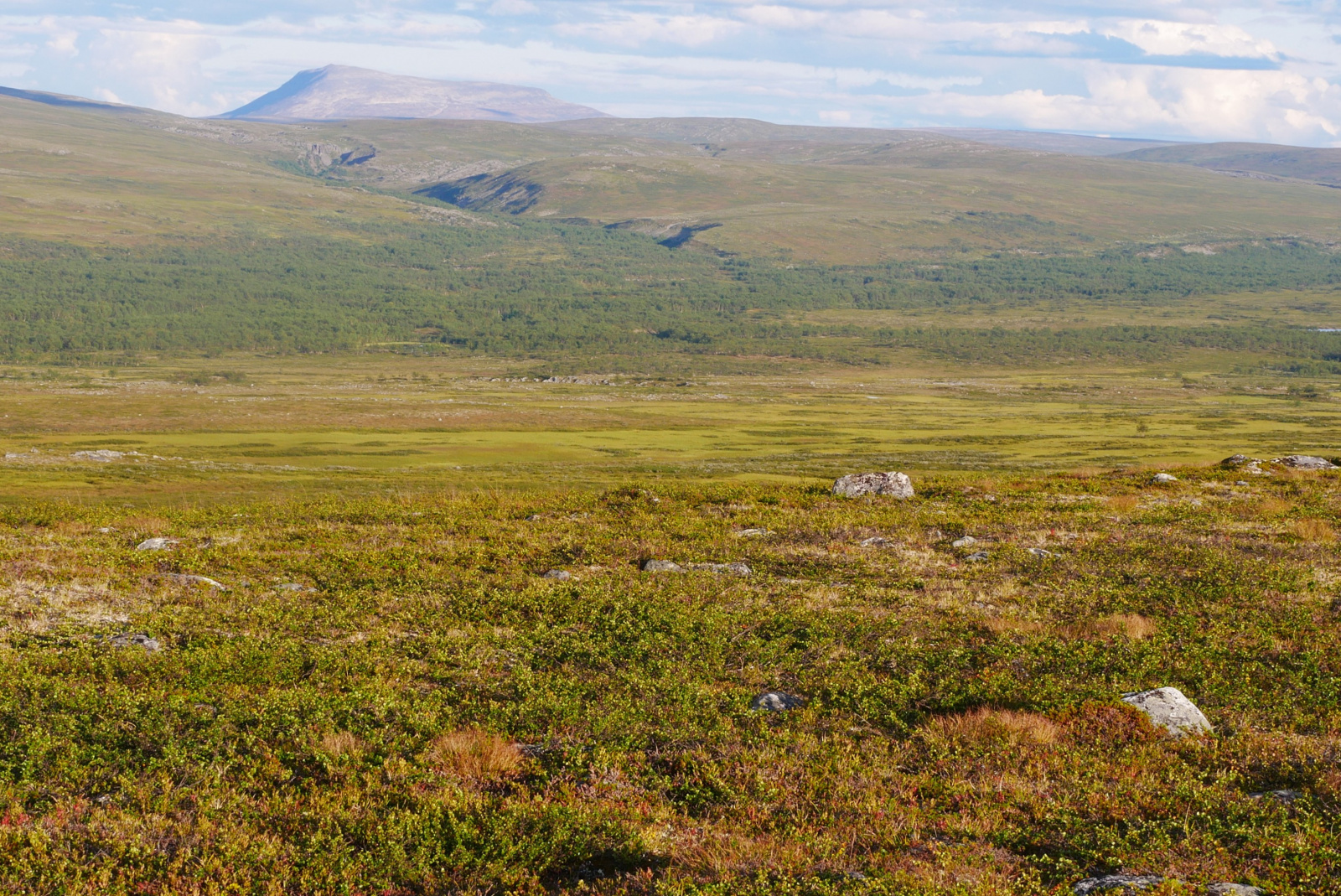 Klicke auf die Grafik für eine vergrößerte Ansicht

Name: p1070329-adjust-horizon_d2gvrnyg_1.jpg
Ansichten: 99
Größe: 1,13 MB
ID: 3363149