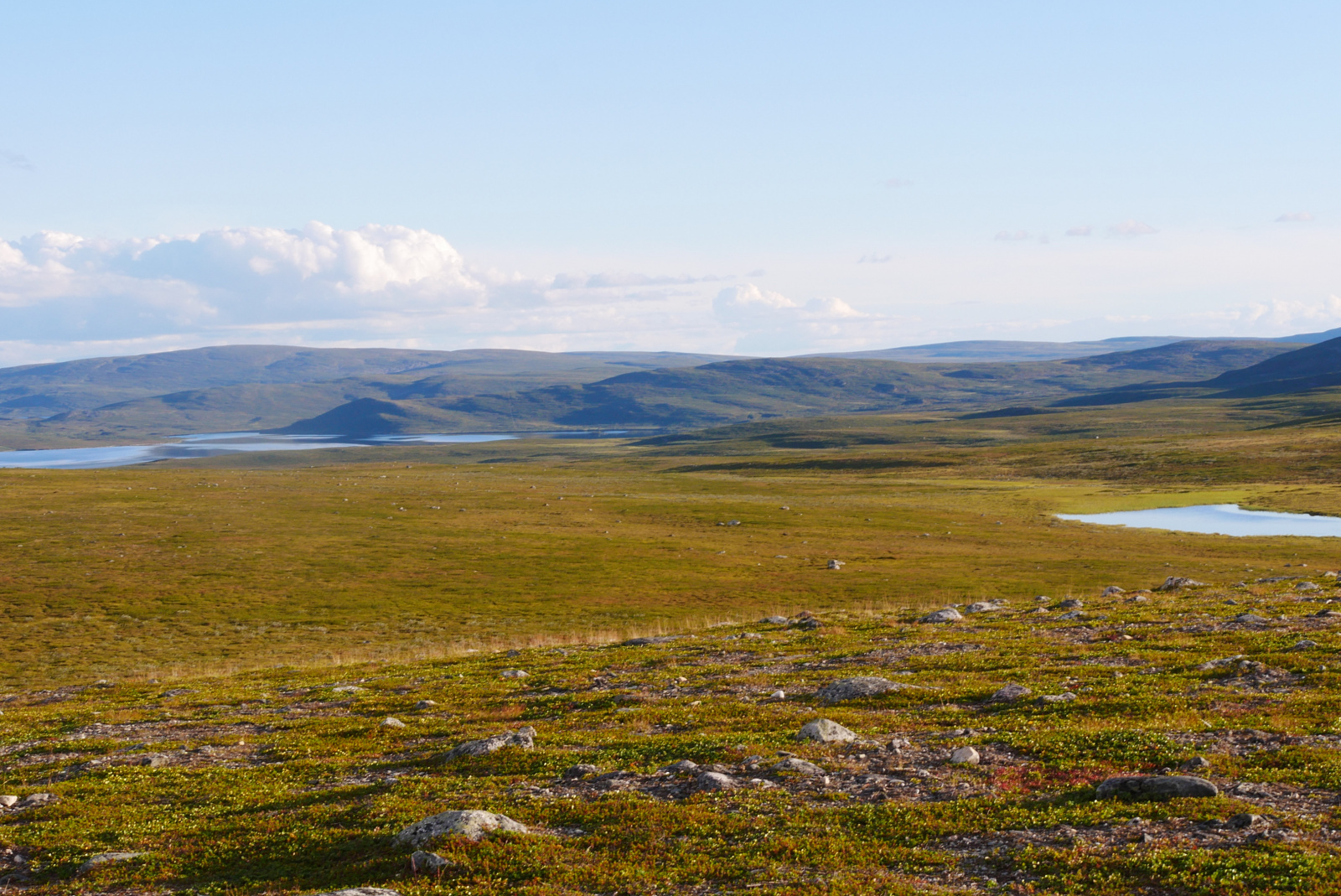 Klicke auf die Grafik für eine vergrößerte Ansicht

Name: P1070330.jpg
Ansichten: 97
Größe: 842,6 KB
ID: 3363150