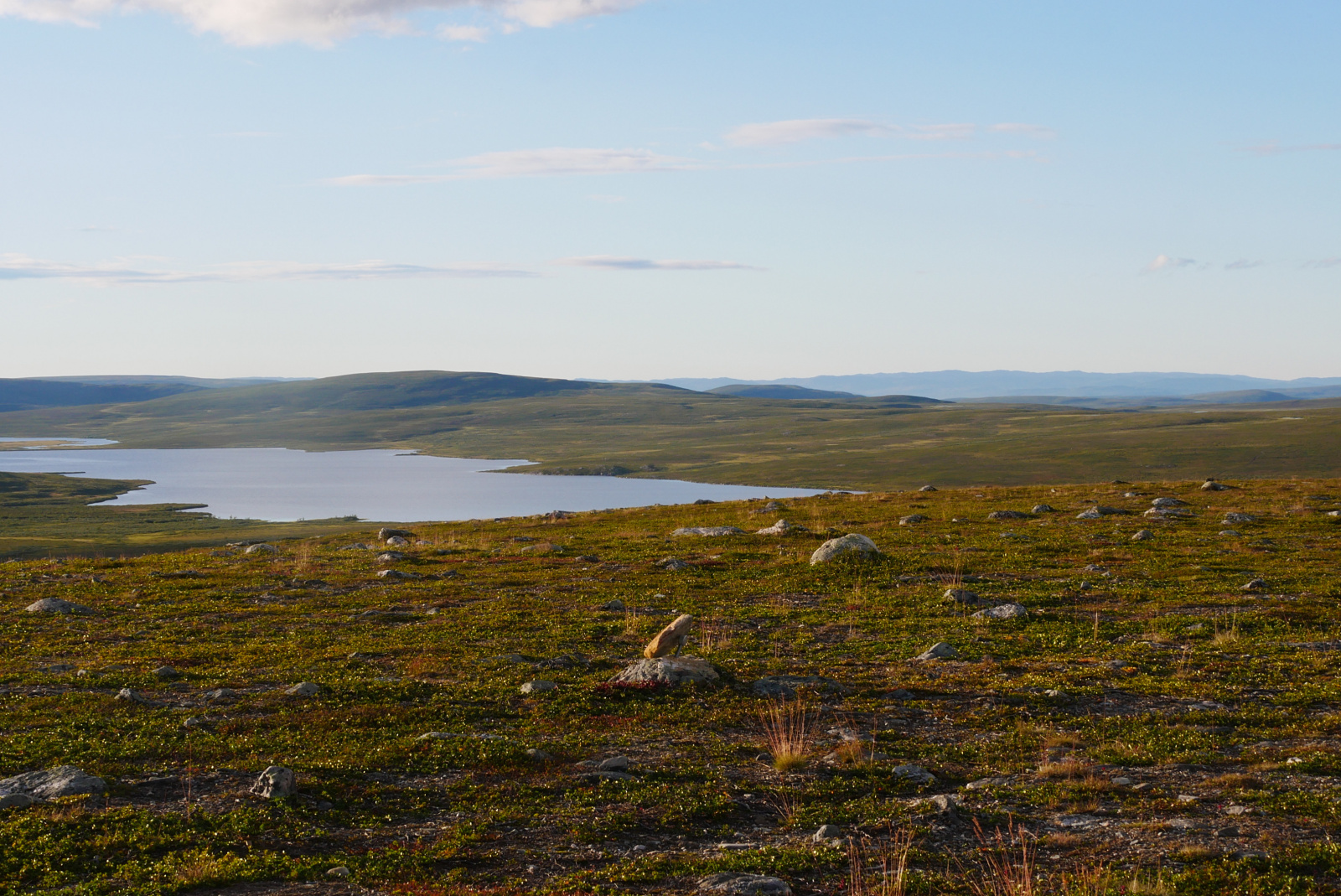 Klicke auf die Grafik für eine vergrößerte Ansicht

Name: P1070331.jpg
Ansichten: 96
Größe: 862,9 KB
ID: 3363151