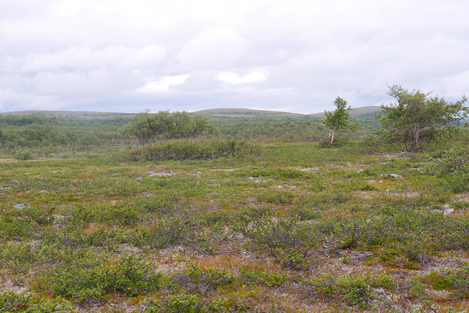 Klicke auf die Grafik für eine vergrößerte Ansicht  Name: P1070336.jpg Ansichten: 0 Größe: 1.009,5 KB ID: 3363167