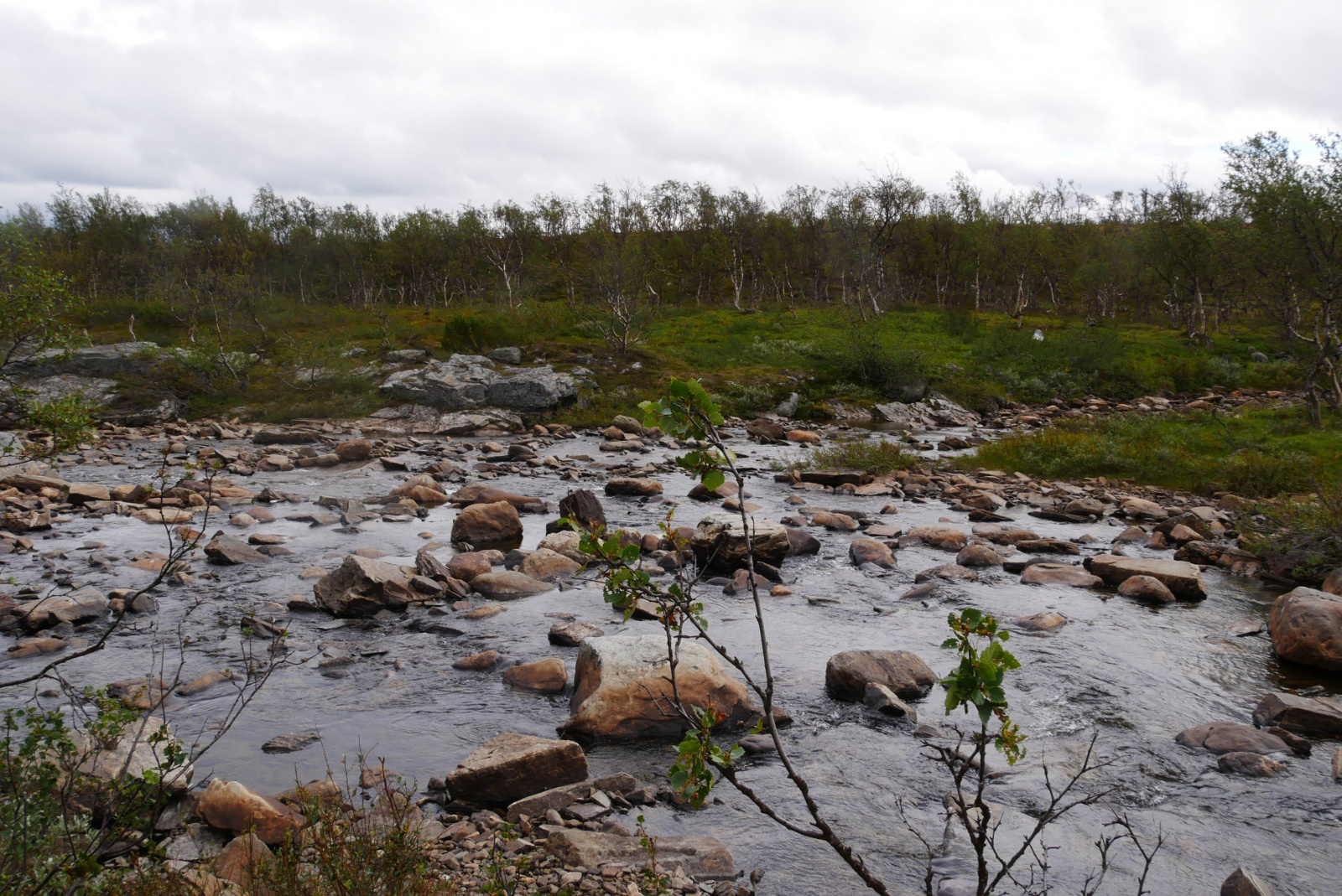 Klicke auf die Grafik für eine vergrößerte Ansicht  Name: p1070337-adjust-horizon_sh7nfdy5_1.jpg Ansichten: 0 Größe: 857,8 KB ID: 3363168