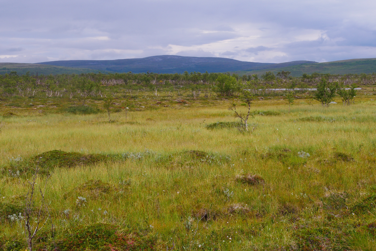 Klicke auf die Grafik für eine vergrößerte Ansicht  Name: P1070341.jpg Ansichten: 0 Größe: 1,04 MB ID: 3363170