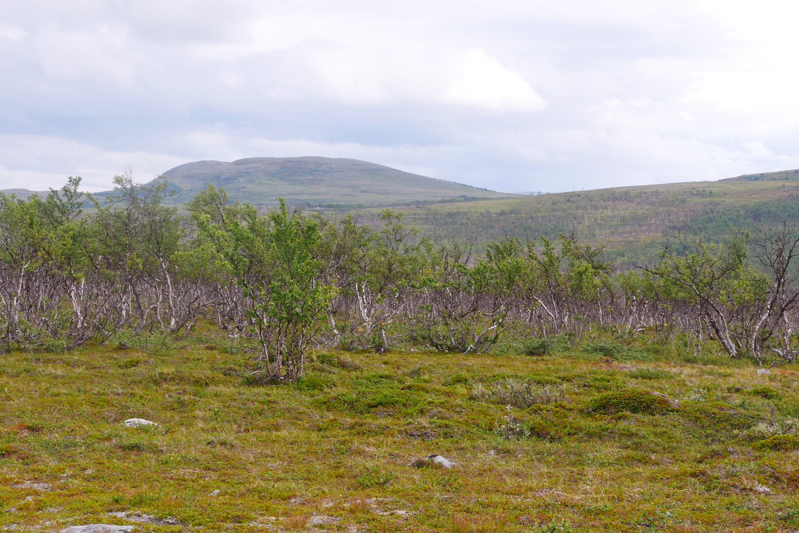 Klicke auf die Grafik für eine vergrößerte Ansicht  Name: P1070342.jpg Ansichten: 0 Größe: 1.012,0 KB ID: 3363171