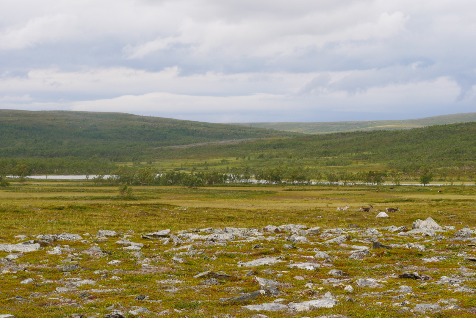 Klicke auf die Grafik für eine vergrößerte Ansicht  Name: P1070344.jpg Ansichten: 0 Größe: 812,2 KB ID: 3363173