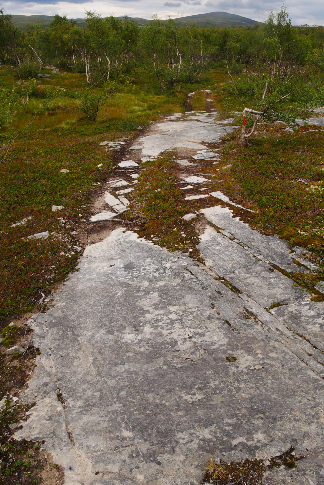 Klicke auf die Grafik für eine vergrößerte Ansicht  Name: P1070345.jpg Ansichten: 0 Größe: 1,20 MB ID: 3363174