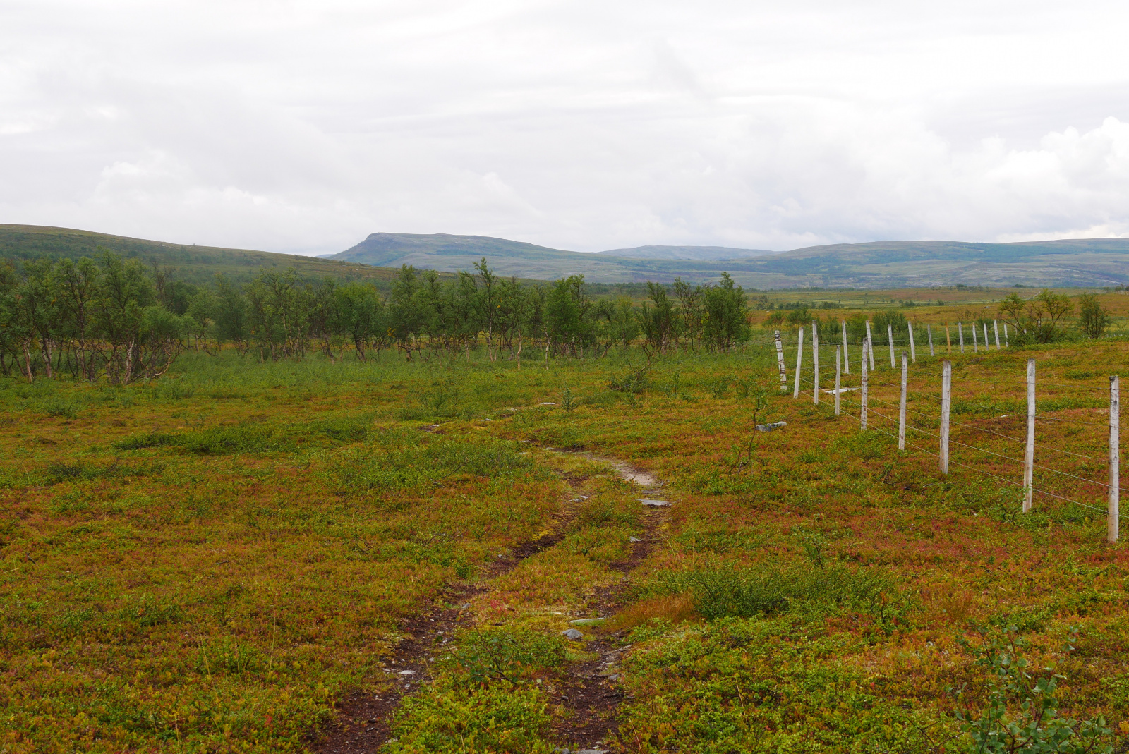 Klicke auf die Grafik für eine vergrößerte Ansicht

Name: P1070349.jpg
Ansichten: 77
Größe: 1,03 MB
ID: 3363183