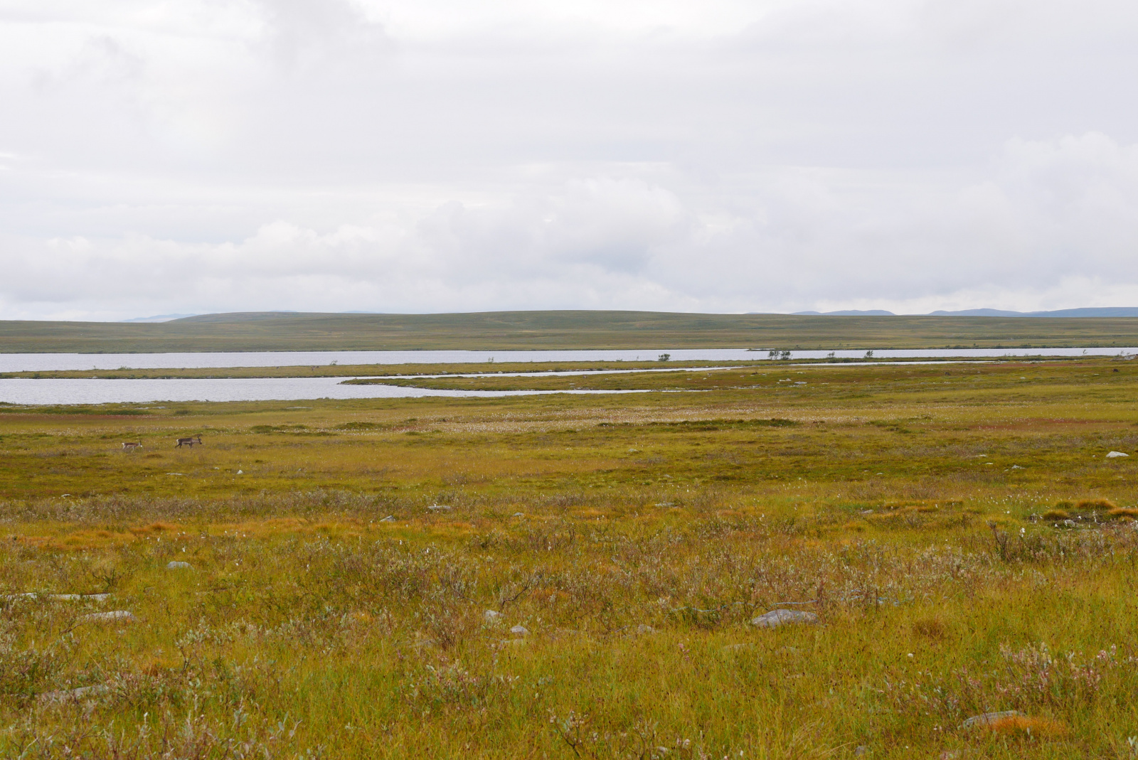 Klicke auf die Grafik für eine vergrößerte Ansicht

Name: P1070350.jpg
Ansichten: 75
Größe: 758,2 KB
ID: 3363184