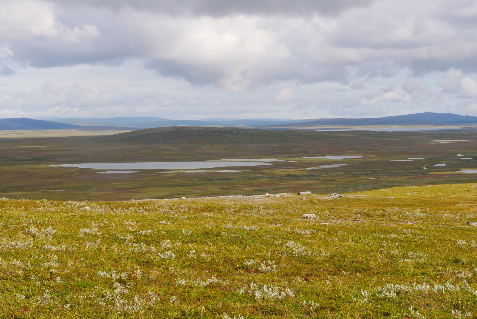 Klicke auf die Grafik für eine vergrößerte Ansicht

Name: P1070355.jpg
Ansichten: 76
Größe: 910,5 KB
ID: 3363188