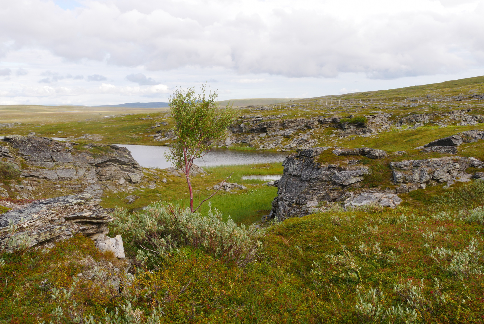 Klicke auf die Grafik für eine vergrößerte Ansicht

Name: P1070357.jpg
Ansichten: 76
Größe: 1,08 MB
ID: 3363189