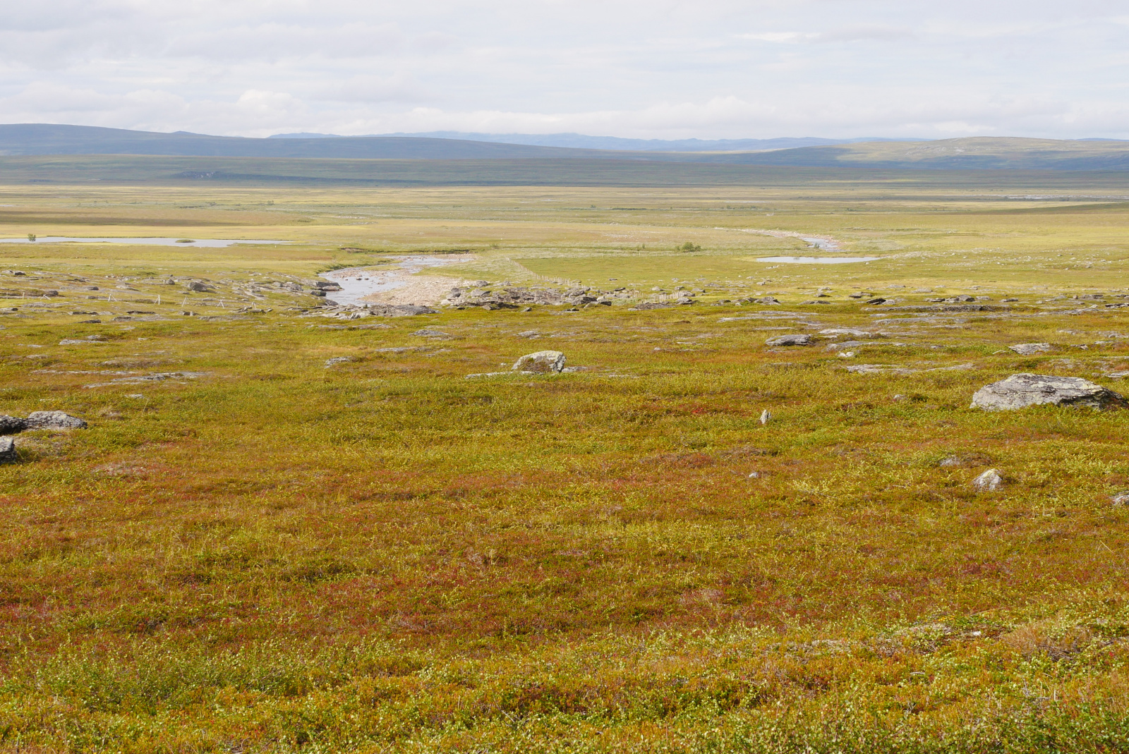 Klicke auf die Grafik für eine vergrößerte Ansicht

Name: P1070362.jpg
Ansichten: 76
Größe: 1,15 MB
ID: 3363192