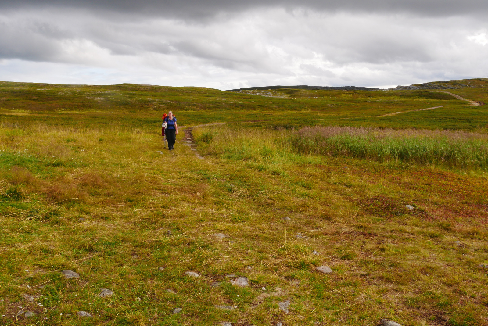 Klicke auf die Grafik für eine vergrößerte Ansicht

Name: P1070367.jpg
Ansichten: 75
Größe: 1,07 MB
ID: 3363196