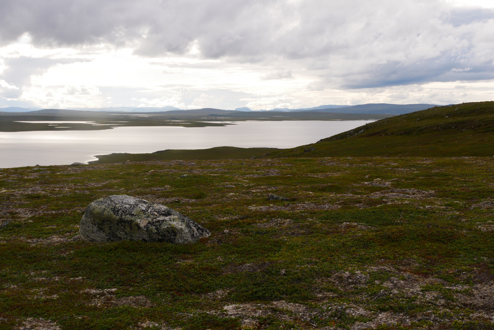 Klicke auf die Grafik für eine vergrößerte Ansicht

Name: P1070368.jpg
Ansichten: 72
Größe: 804,4 KB
ID: 3363197