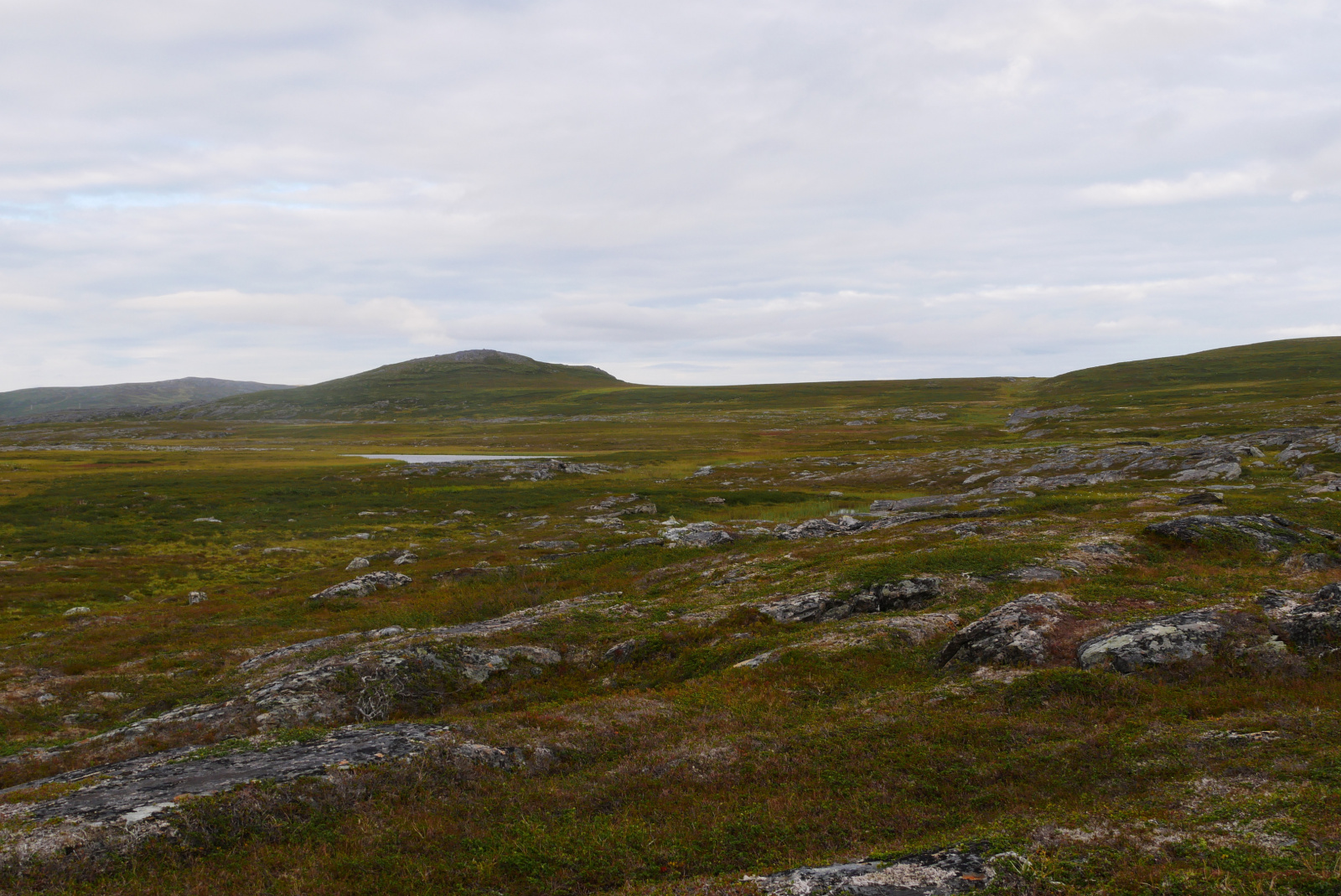 Klicke auf die Grafik für eine vergrößerte Ansicht

Name: P1070369.jpg
Ansichten: 74
Größe: 772,4 KB
ID: 3363198