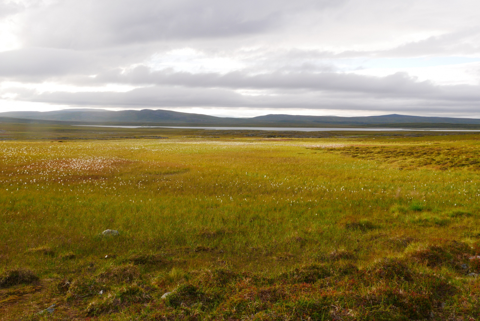 Klicke auf die Grafik für eine vergrößerte Ansicht

Name: P1070370.jpg
Ansichten: 74
Größe: 885,8 KB
ID: 3363199