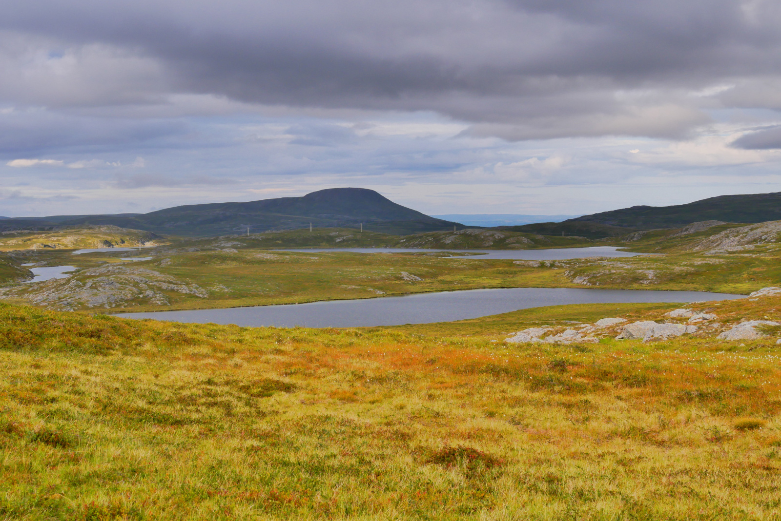 Klicke auf die Grafik für eine vergrößerte Ansicht

Name: P1070372.jpg
Ansichten: 75
Größe: 899,9 KB
ID: 3363200