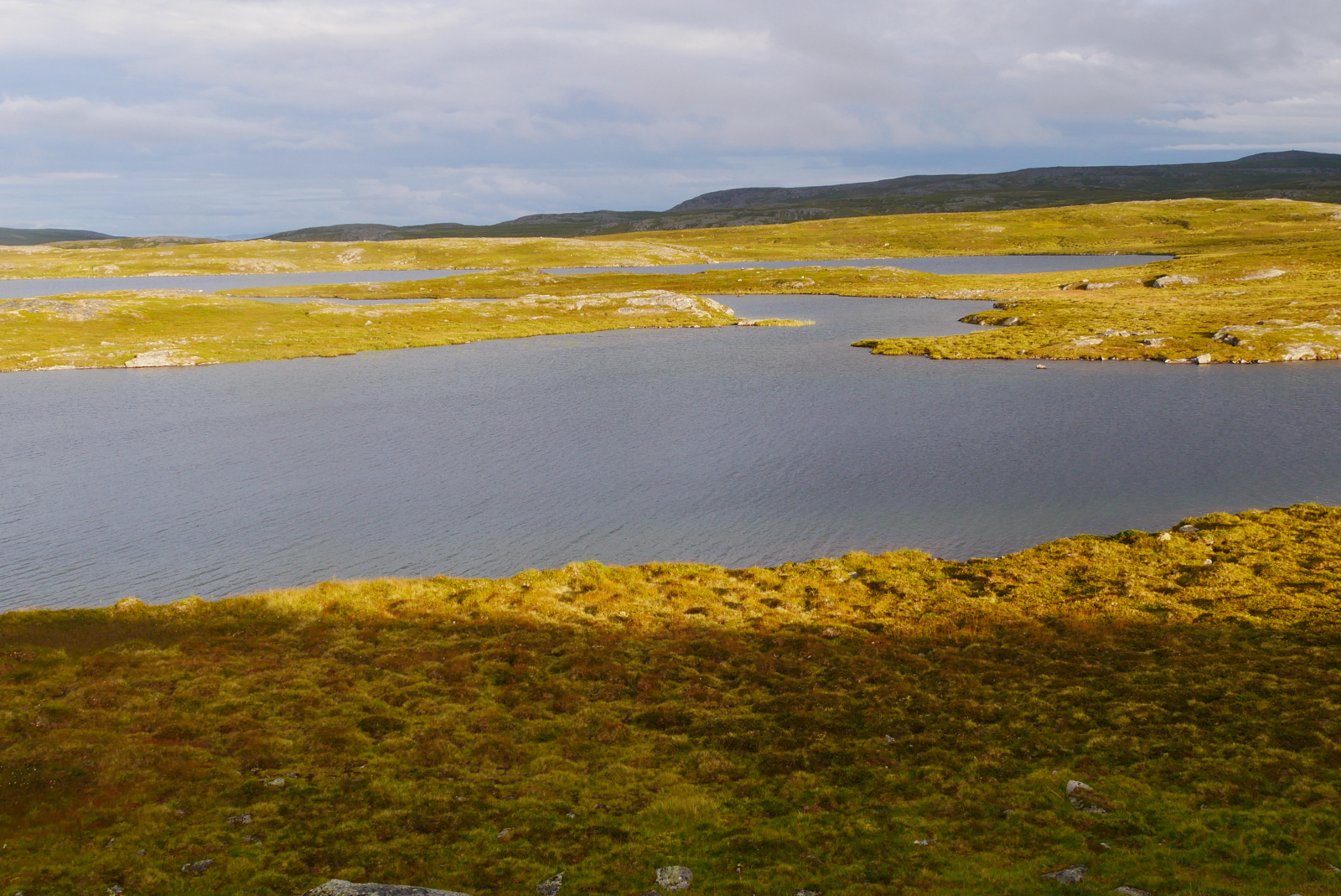 Klicke auf die Grafik für eine vergrößerte Ansicht

Name: P1070375.jpg
Ansichten: 75
Größe: 846,3 KB
ID: 3363201