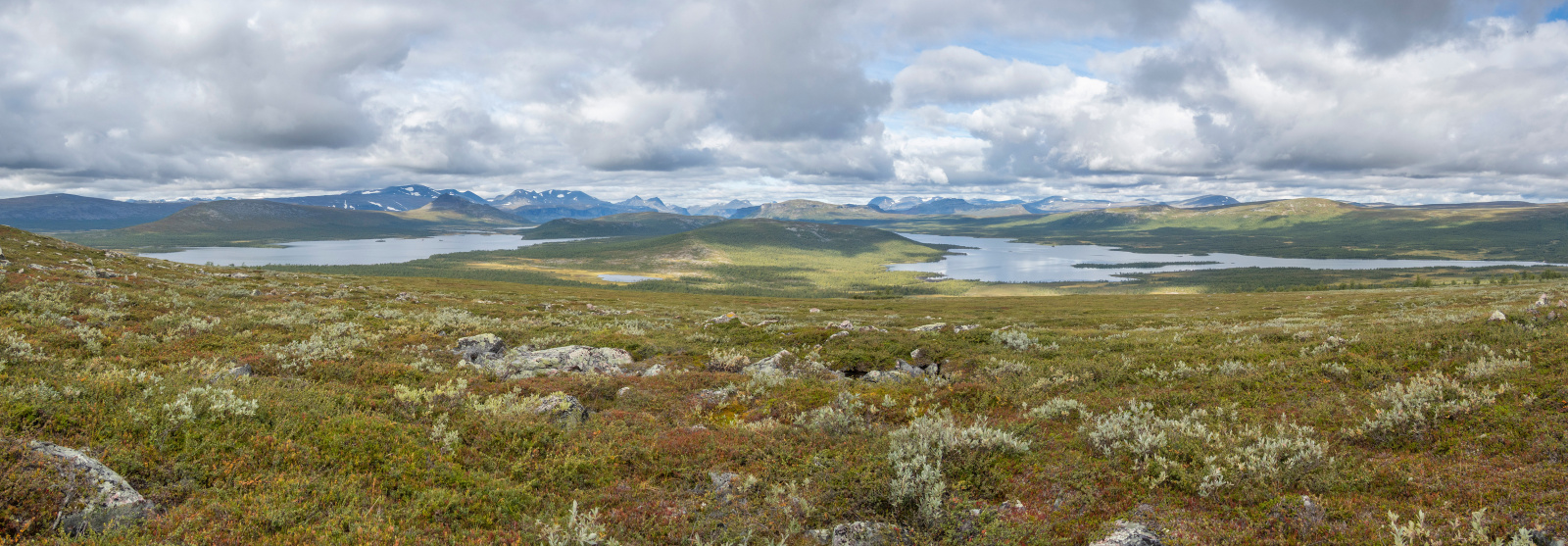 Klicke auf die Grafik für eine vergrößerte Ansicht

Name: Sjaunja_2025_249_Panorama_small.jpg
Ansichten: 59
Größe: 568,1 KB
ID: 3363212