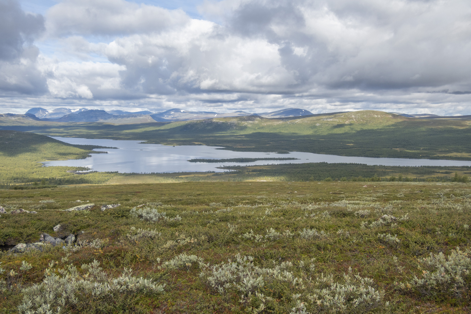 Klicke auf die Grafik für eine vergrößerte Ansicht

Name: Sjaunja_2025_252.jpg
Ansichten: 58
Größe: 868,9 KB
ID: 3363213