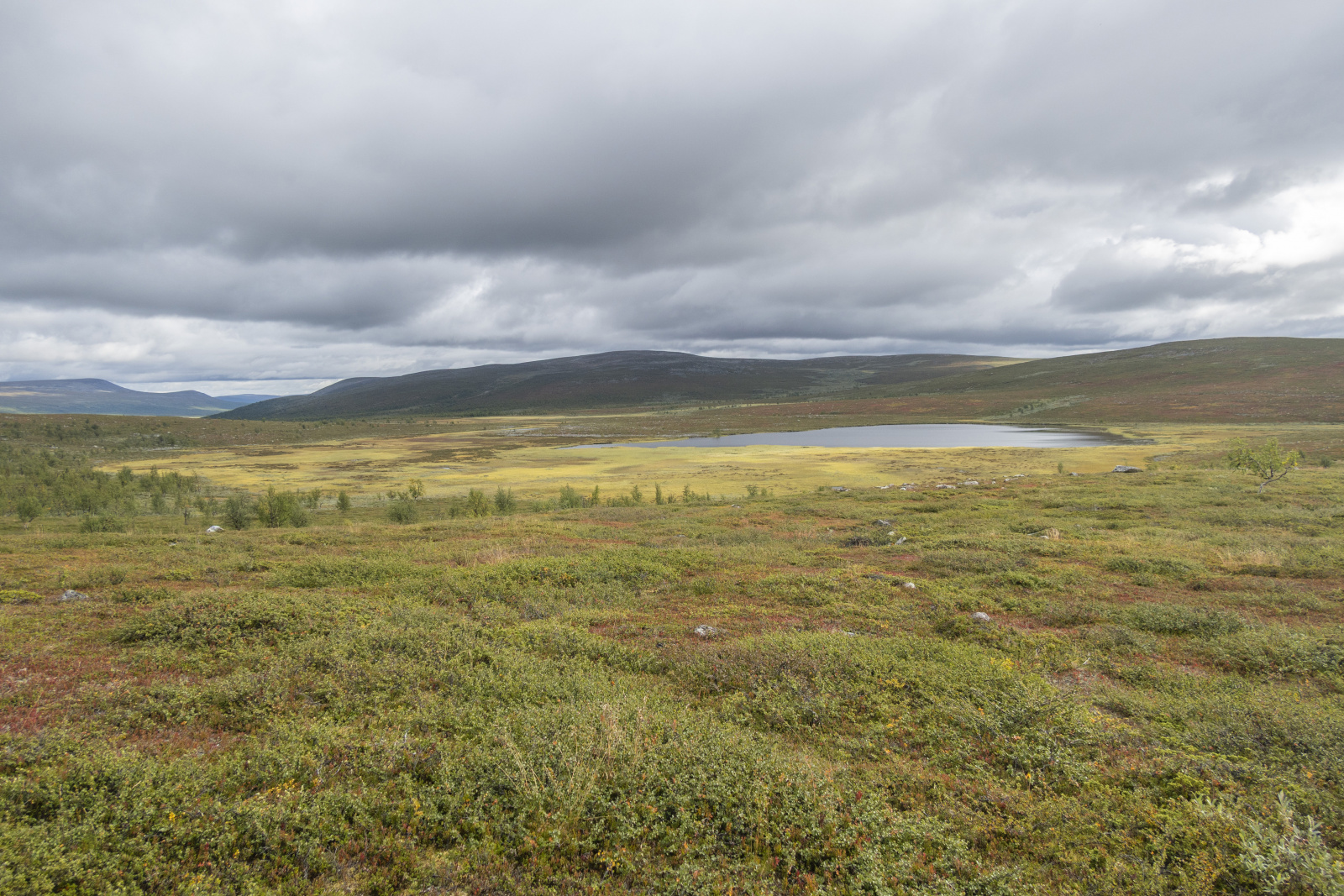 Klicke auf die Grafik für eine vergrößerte Ansicht

Name: Sjaunja_2025_246.jpg
Ansichten: 58
Größe: 917,4 KB
ID: 3363214