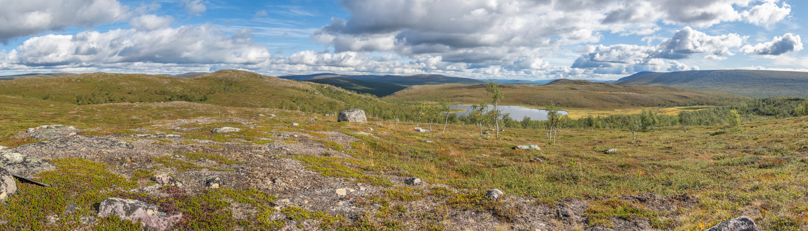 Klicke auf die Grafik für eine vergrößerte Ansicht

Name: Sjaunja_2025_262_Panorama_1_small.jpg
Ansichten: 58
Größe: 591,3 KB
ID: 3363217