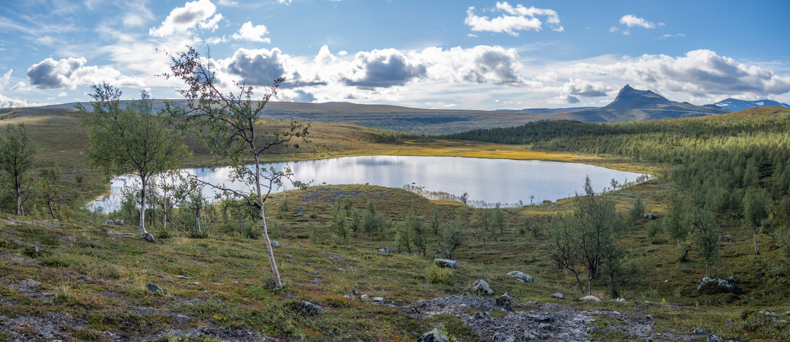 Klicke auf die Grafik für eine vergrößerte Ansicht

Name: Sjaunja_2025_259_Panorama_small.jpg
Ansichten: 58
Größe: 693,8 KB
ID: 3363218