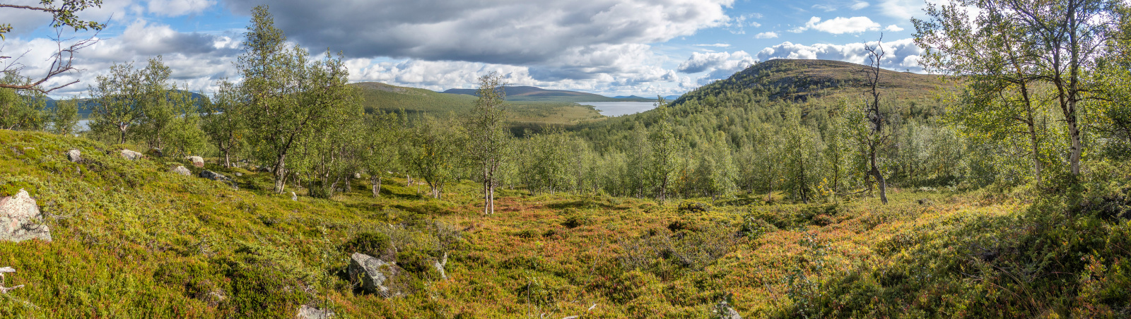 Klicke auf die Grafik für eine vergrößerte Ansicht

Name: Sjaunja_2025_256_Panorama_small.jpg
Ansichten: 58
Größe: 732,6 KB
ID: 3363219