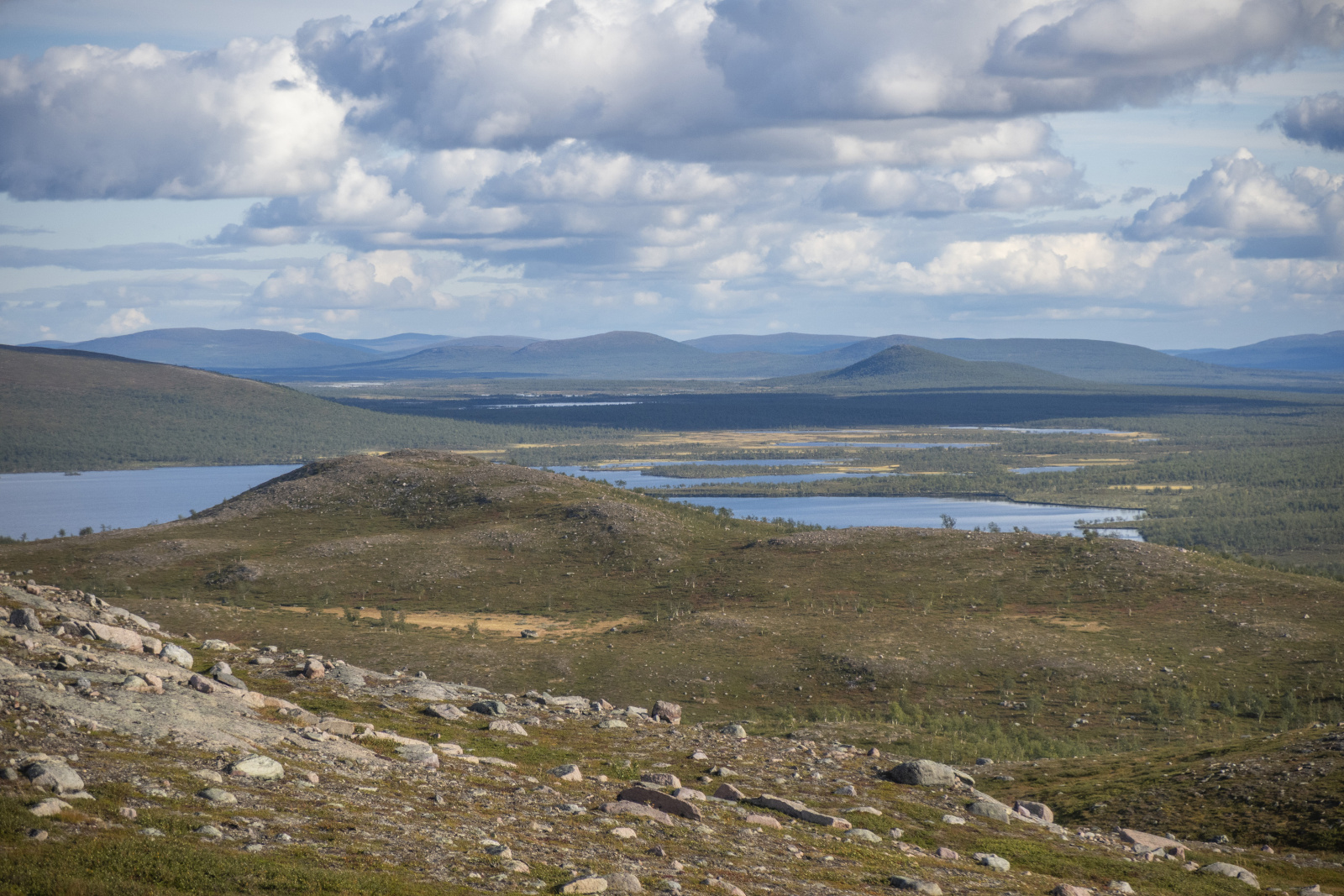 Klicke auf die Grafik für eine vergrößerte Ansicht

Name: Sjaunja_2025_277.jpg
Ansichten: 58
Größe: 769,5 KB
ID: 3363222