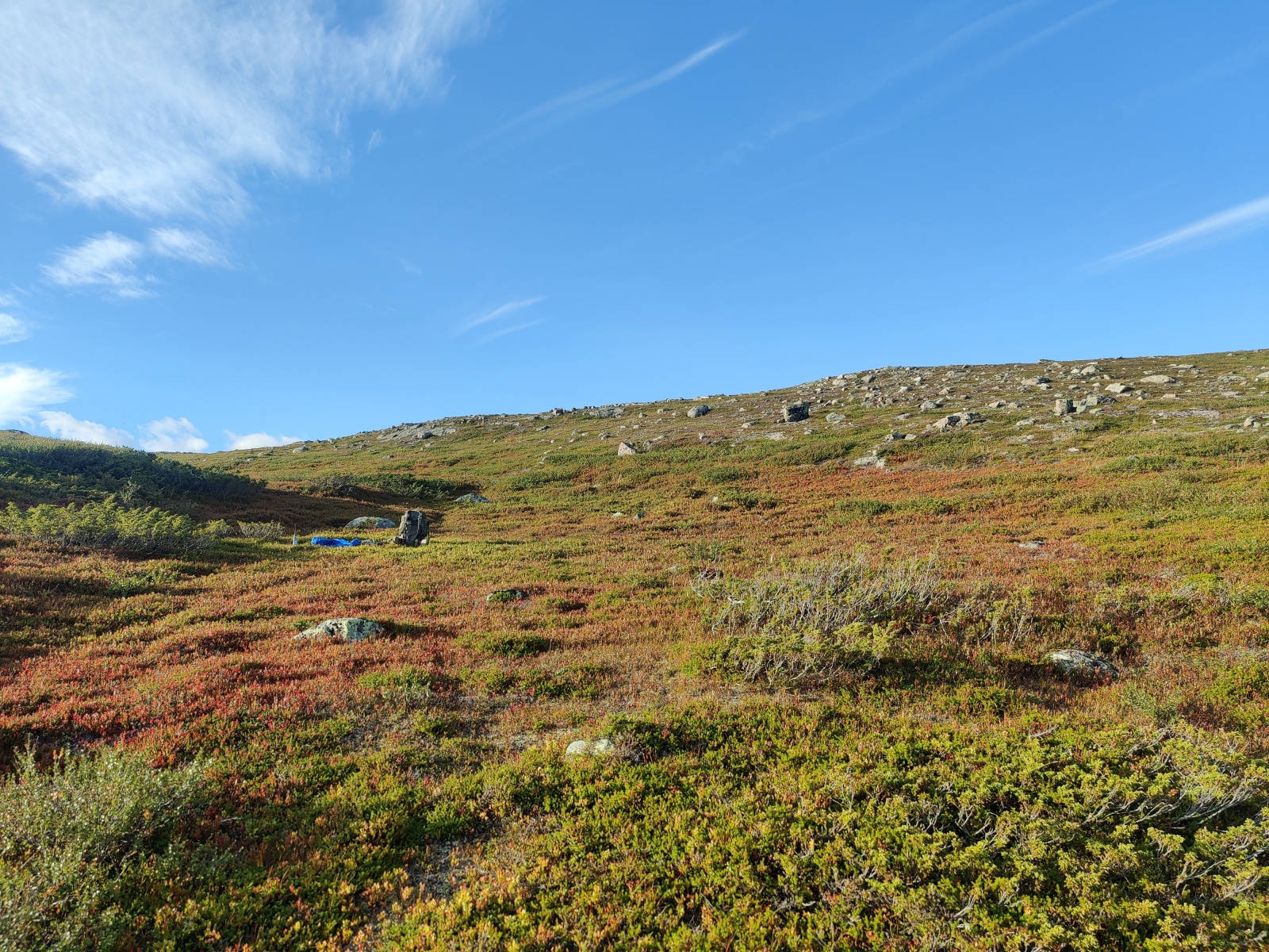 Klicke auf die Grafik für eine vergrößerte Ansicht

Name: Sjaunja_2025_Camp6.jpg
Ansichten: 58
Größe: 1,22 MB
ID: 3363226