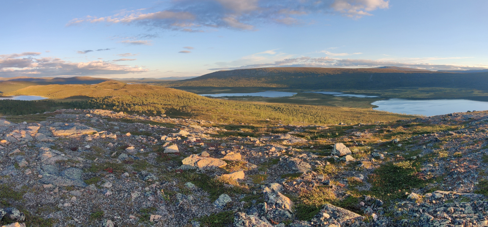 Klicke auf die Grafik für eine vergrößerte Ansicht

Name: Sjaunja_2025_Smartphone_Panorama.jpg
Ansichten: 58
Größe: 713,3 KB
ID: 3363228