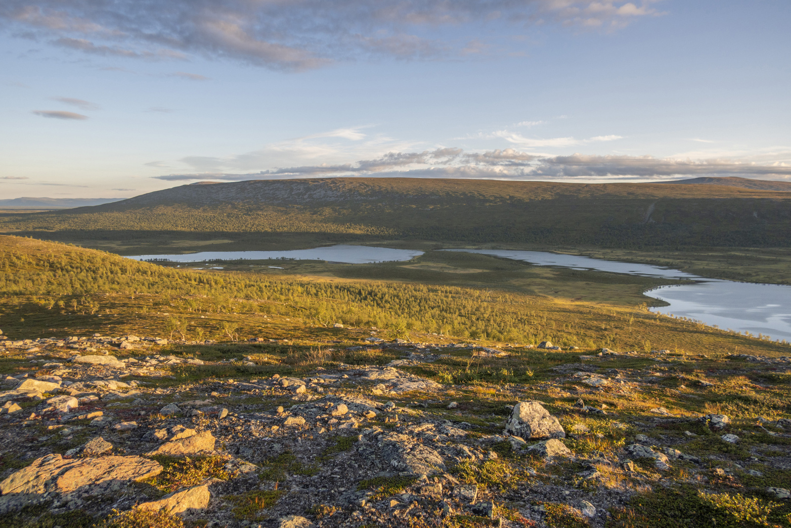 Klicke auf die Grafik für eine vergrößerte Ansicht

Name: Sjaunja_2025_292.jpg
Ansichten: 58
Größe: 1.000,5 KB
ID: 3363229