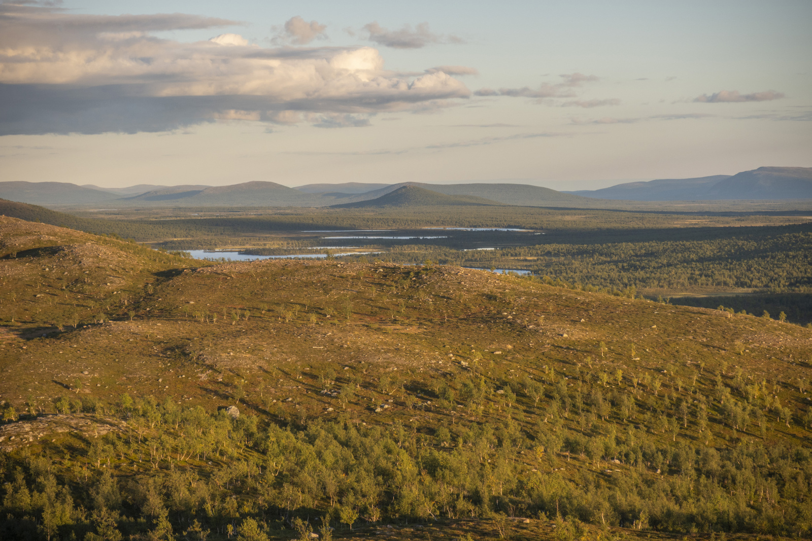 Klicke auf die Grafik für eine vergrößerte Ansicht

Name: Sjaunja_2025_293.jpg
Ansichten: 58
Größe: 904,1 KB
ID: 3363230